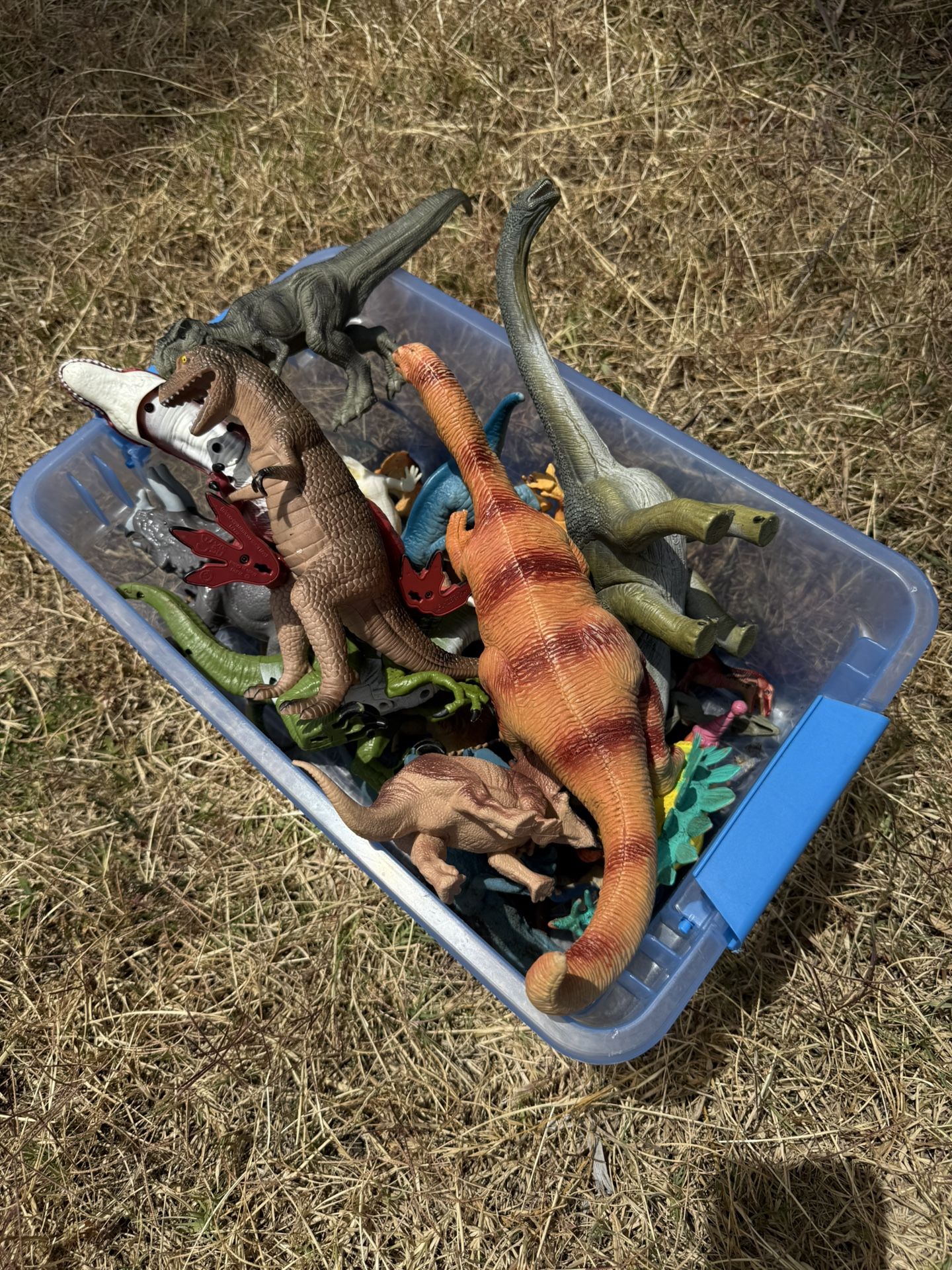 Box Full Of Dinosaurs 🦕