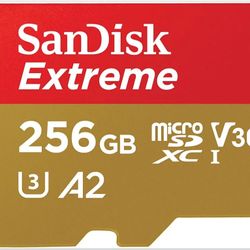 256gb Micro SDXC Card.