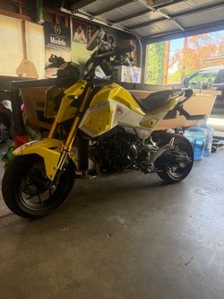 Jacob’s yellow Grom :(