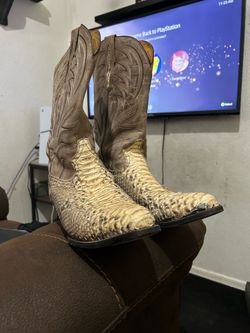 Python cowboy boots