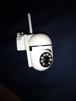Motion Sensor Camera
