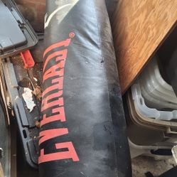 Punching Bag
