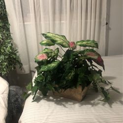 Planta Artificial 