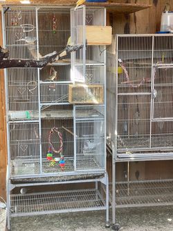 Bird cage