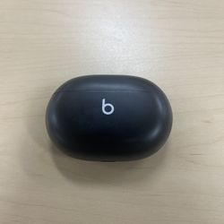 Beats Earbud Case