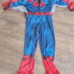 Marvell Spiderman Halloween Costume 