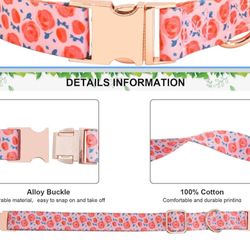 New Dog Collar Size M/l