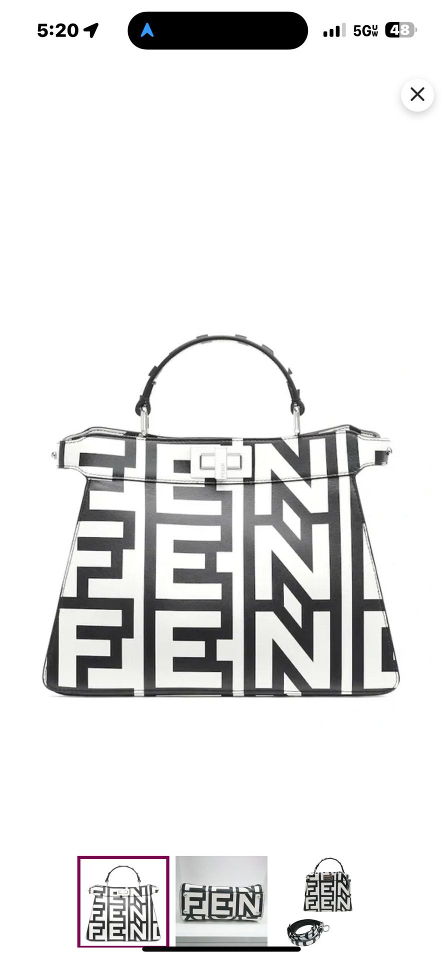 Fendi Icon Bag 