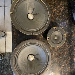 Pioneer Speakers
