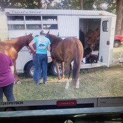 Looking For My Daughter's Stolen Horse Trailer