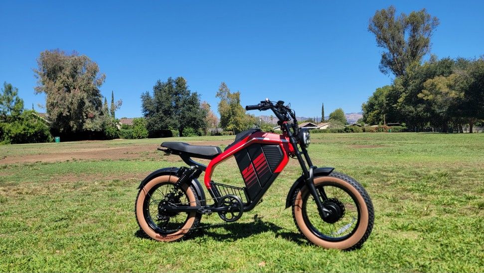 Electric Bike Dual Motor And Dual Batteries