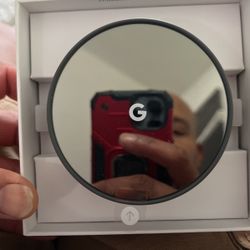 Nest Thermostat 