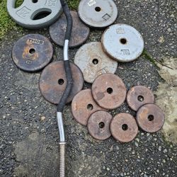 Weights And Curl Bar 