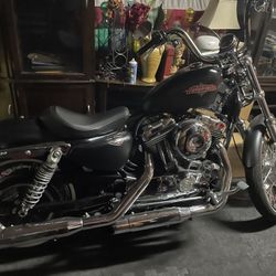 2016 Harley Davidson 1200 Sportster