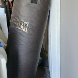 100lb Punching Bag With Stand
