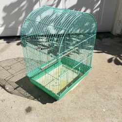 Bird Cage 