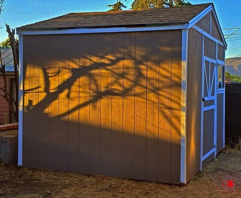 10x12 Shed