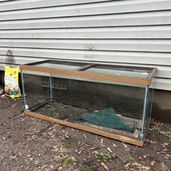 Large Fish Tank
