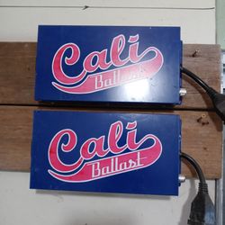 2 1000w Cali Ballasts