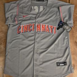 *Authentic* Elly De La Cruz Cincinnati Reds Jersey (Road Gray)