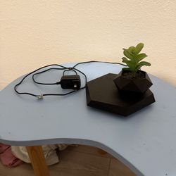 Levitating Plant (fake Plant)