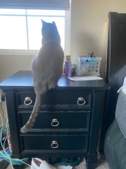 Night stands