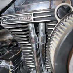 Harley Davidson 110 Complete Motor 