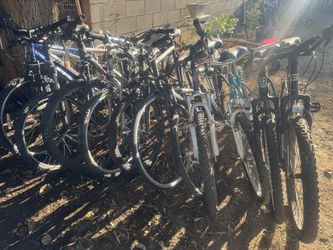 10 bikes for 50