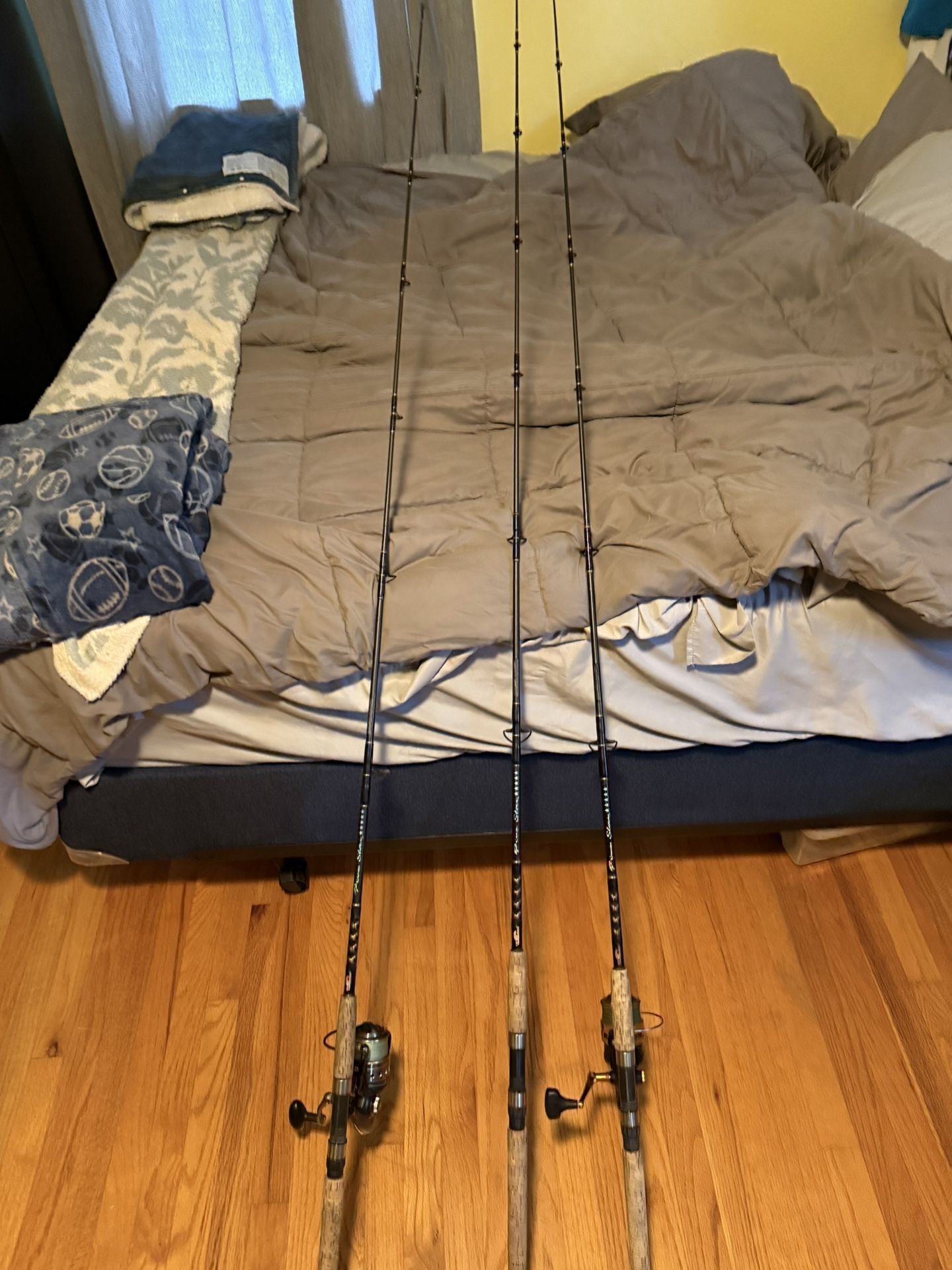 Offshore Fishing Setups
