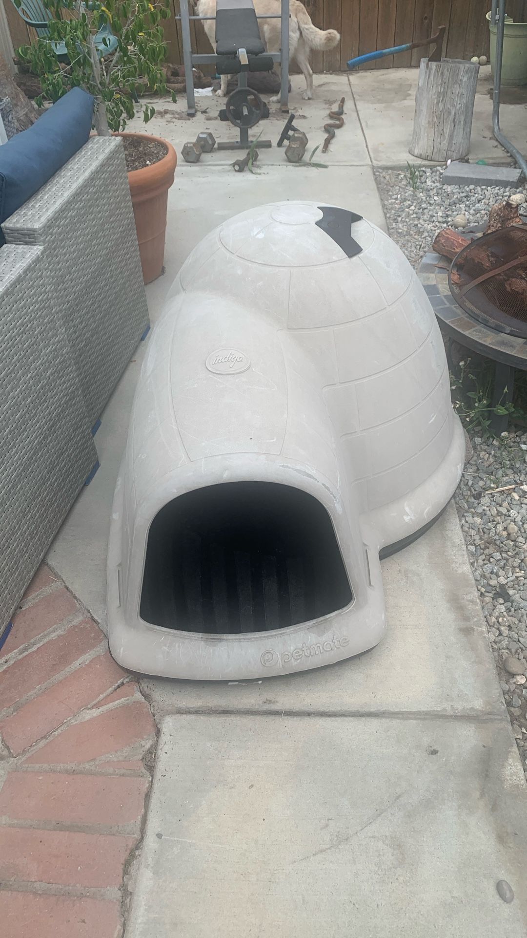 Indigo Patemate Large Dog House