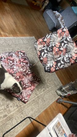 Three outdoor chair cushions