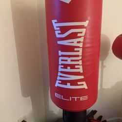 EverLast Punching bag