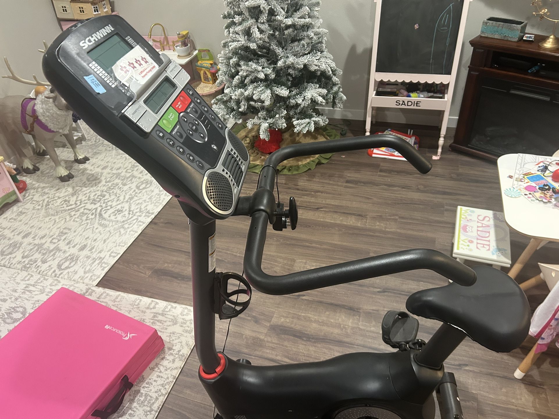 Schwinn Indoor Bike