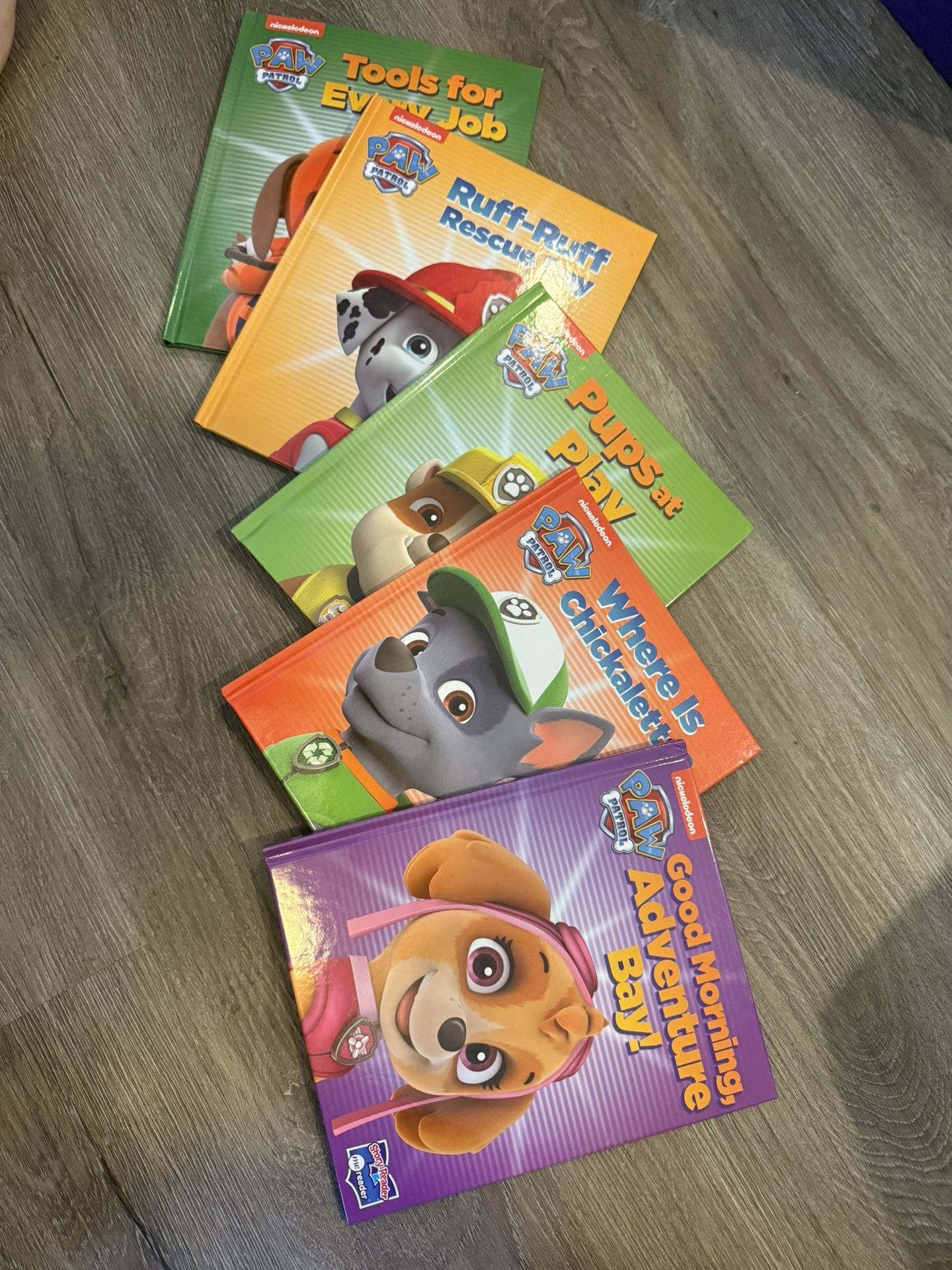 Paw Patrol Books