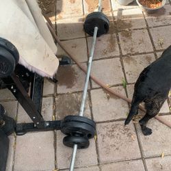 Standard Size Barbell 