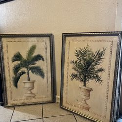  Cuadros De Palmas  De Home Interios