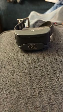 Sport Dog Training collar