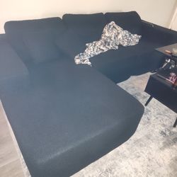 Black Couch