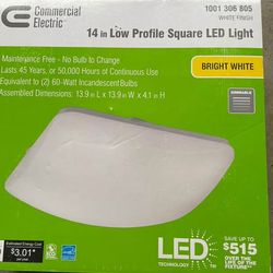 White LED Light