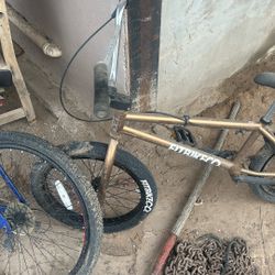 BMX Bike Fitbikeco “Rootbeer” Edition 