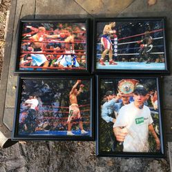 Cotto Boxing Original Make Offer