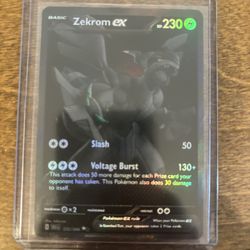 Zekrom BWR FS/FT