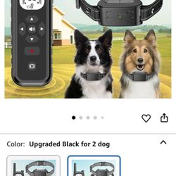 Wireless Dog Fence for 2 Dogs 
