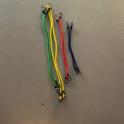 Bungee Cords