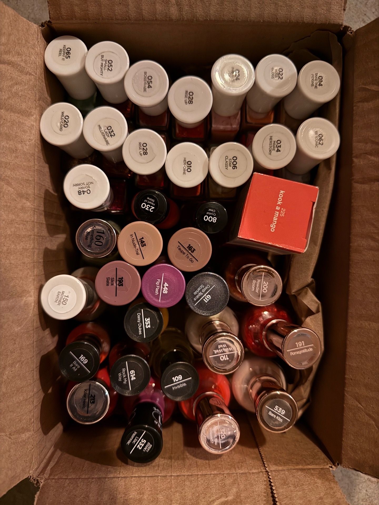 Brand New Sally Hansen Nail Polish