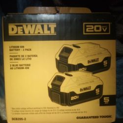 Dewalt  Ah 2 Pack