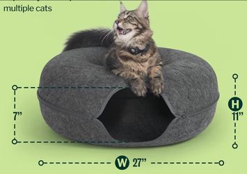 Cattasaurus peek a boo tunnel.  Multiple  cats. Cozy and sturdy. Cat love this...