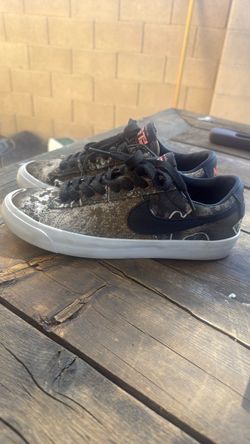 Nike SB Low-Top Skate Sneakers