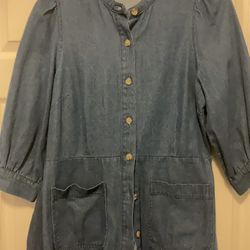 Who What Where Denim Dress