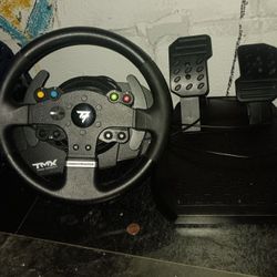 Thrustmaster  TMX Force Feedback Racing & Logitech g920